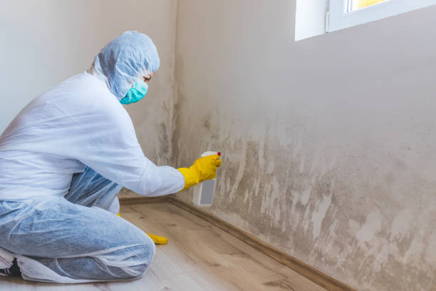 Hvac And Air Duct Mold Remediation inspection of HVAC system in Woodbridge